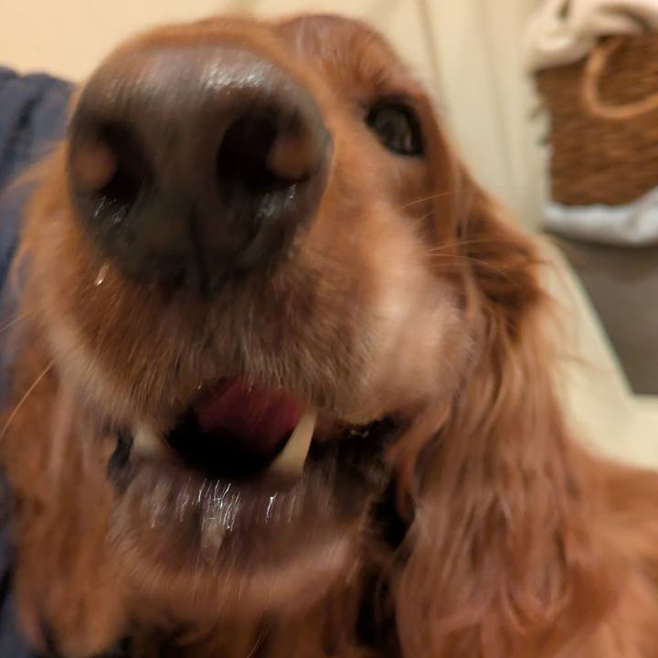 02ce8b98 8674 439f 9885 72cb99f80812 1769769873263