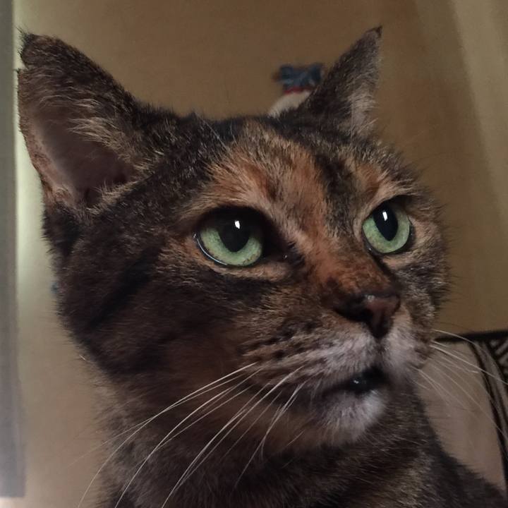 02ce9556 1e74 4672 a409 c4b8ec196cab 1602552812226