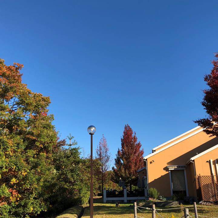 02ced149 c006 4e63 9943 7126d4a032d7 1541263509717