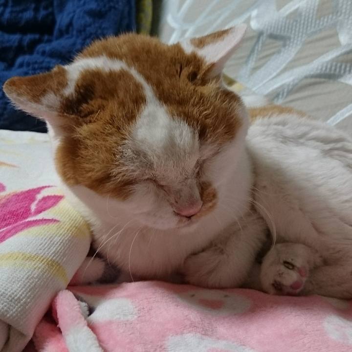 02cedb5b 61f1 4a1d ab73 5367c8951f08 1546090557645