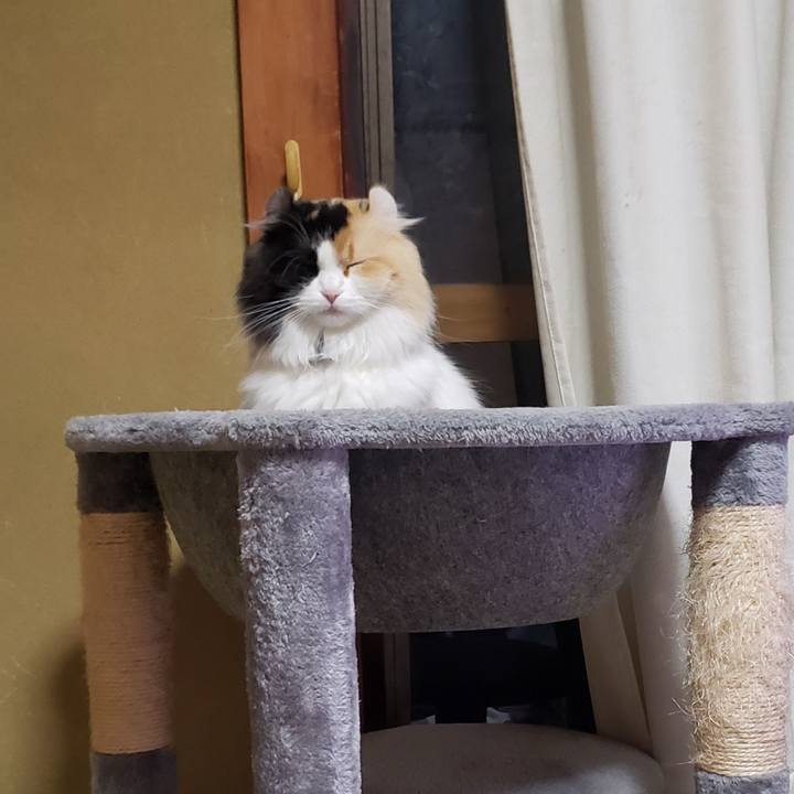 02cef480 ce4c 4a5f 9d84 fb3101ee1ab2 1606821735672