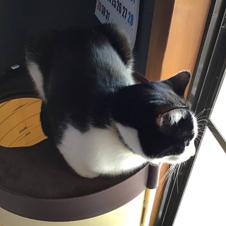 02cf0ef9 2c16 445e 8a50 fc7c9dd014d1 1653204589139