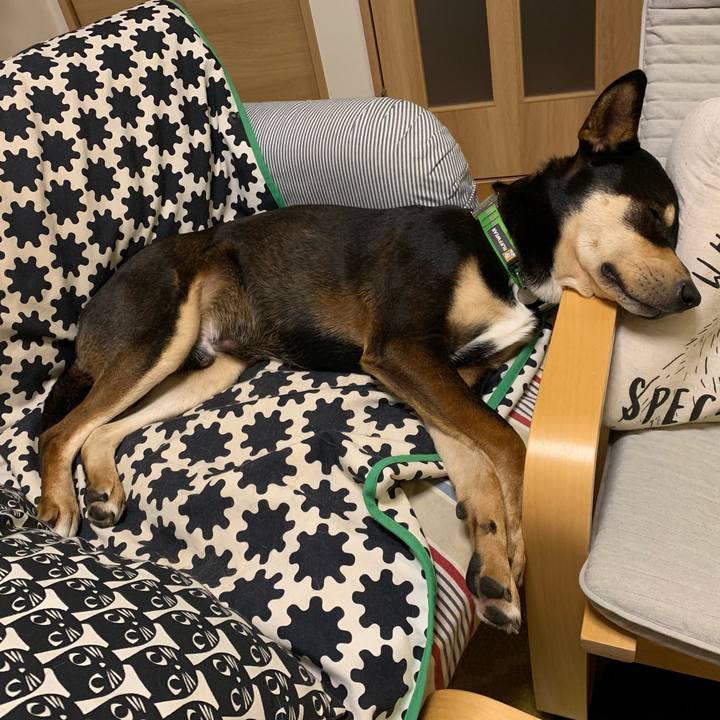 02cf3afd 5258 41ca 920c c156e386902c 1548604257289