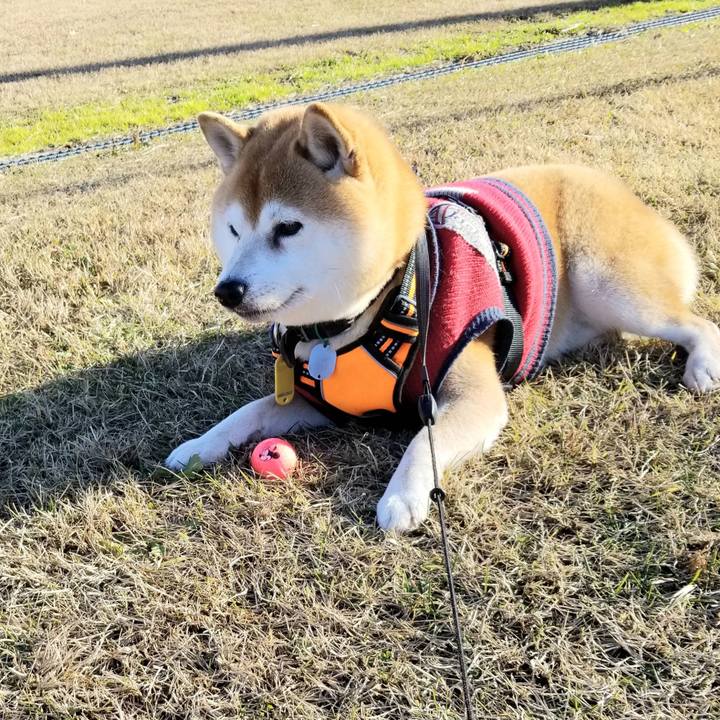 02cf55cc 5ec3 4dd1 b064 82ca442109ad 1607492596096