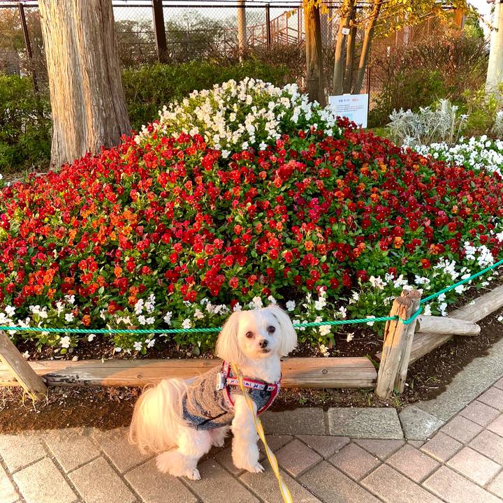 02cf6817 258e 4dfd b7c4 c188e17c45aa 1645599539001