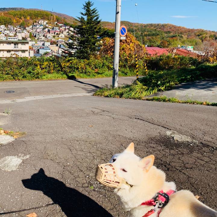 02cf7c3f 60ad 4ebd 97ad 0ebacbf78e70 1572316837924