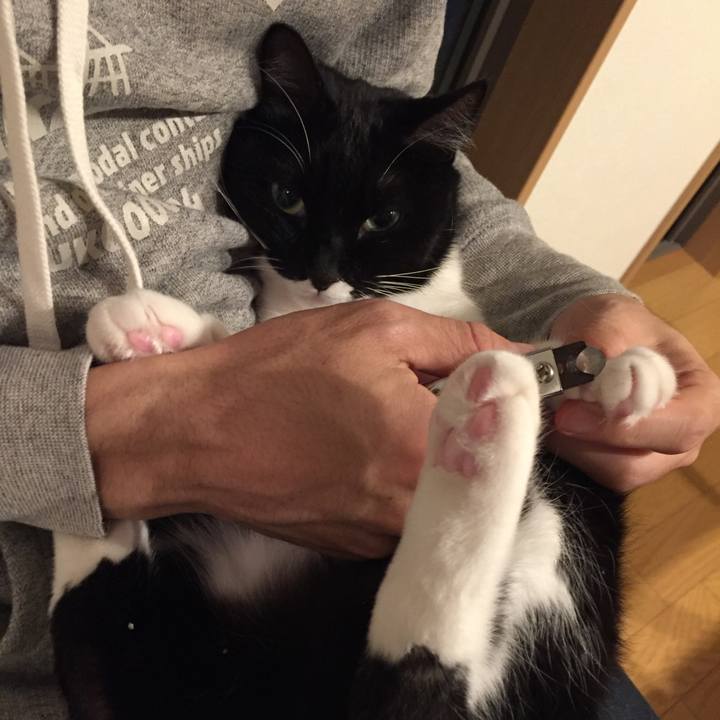 02cfa26c dbd2 4c92 8ead a627fbf73333 1511524950755