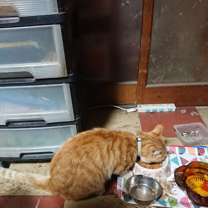 02cfaaa6 3621 4b02 b12f 5c1e9c519f93 1591298719486