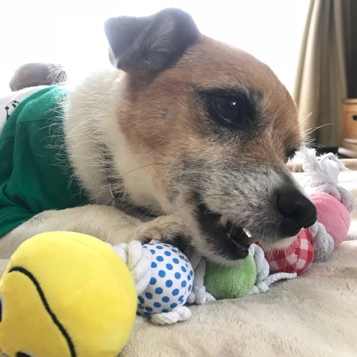 02cfafae 016c 45e1 a846 9b2aa3dc2c13 1527224564080