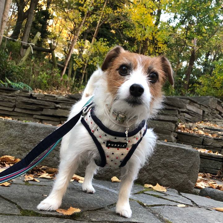 02d0196a 2de5 4990 ae4f c0e5e8ea255f 1605999955186