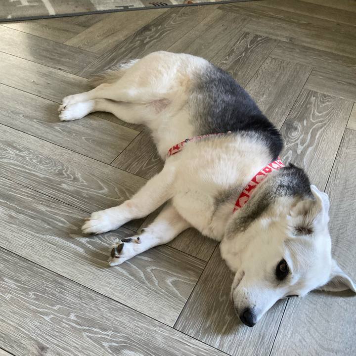 02d04538 3158 43c9 834f 1e484a692a76 1716376716966