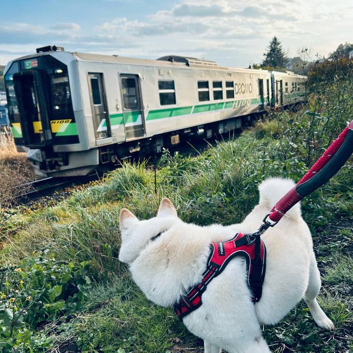 02d049bc 1598 44ca a70d c4d5982d8b95 1761344847019