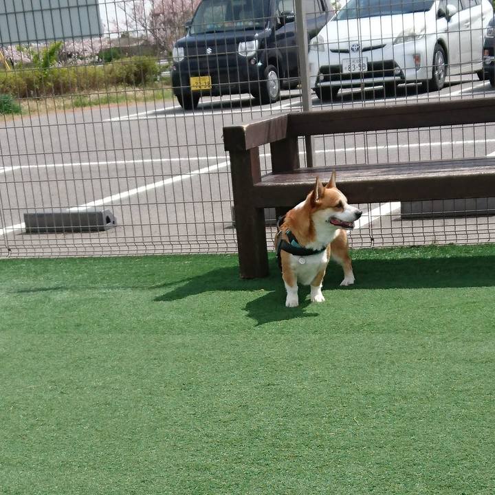 02d0a405 159d 4aa1 a485 2e217bcd62de 1648783024211