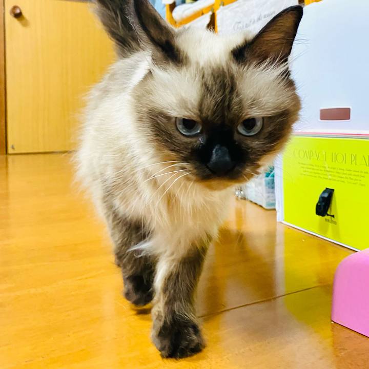 02d0adbf 74eb 4b06 bb0f 0638be758707 1695124661374