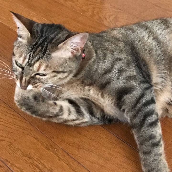 02d0c315 0e3e 4b12 9ca9 9d38b0f5f276 1590539278010