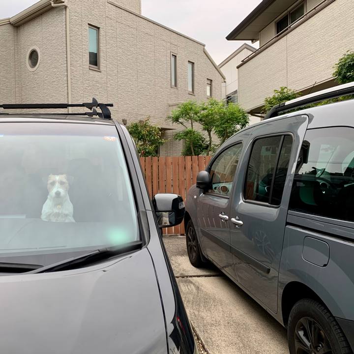 02d0c4ec f2da 401a afe9 d26afa633135 1622203404302