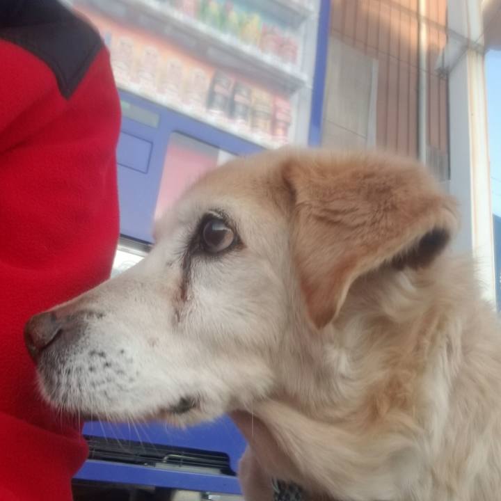 02d0c68c cca6 4ffa af52 165be8b9a315 1680127344286