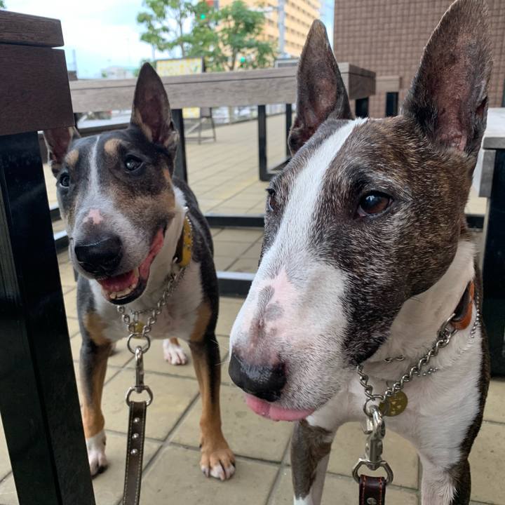 02d0d787 cbbf 4524 9ba4 7310c28e86be 1561109985602