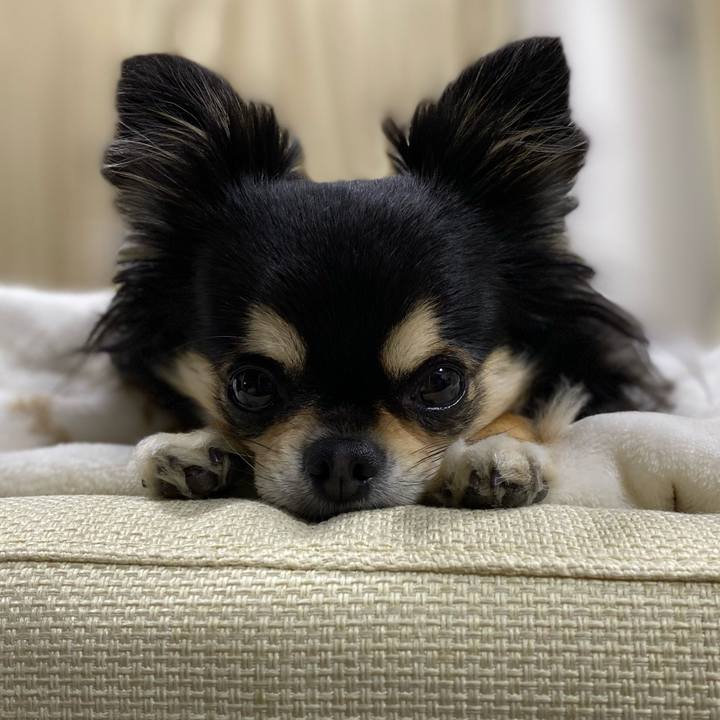 02d0dee2 ae8c 4289 a167 3d471d37431f 1647468330703