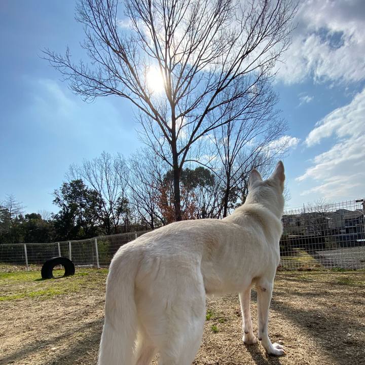 02d0ef4f 8a78 4b02 afaa da95a0339e9b 1580620600064