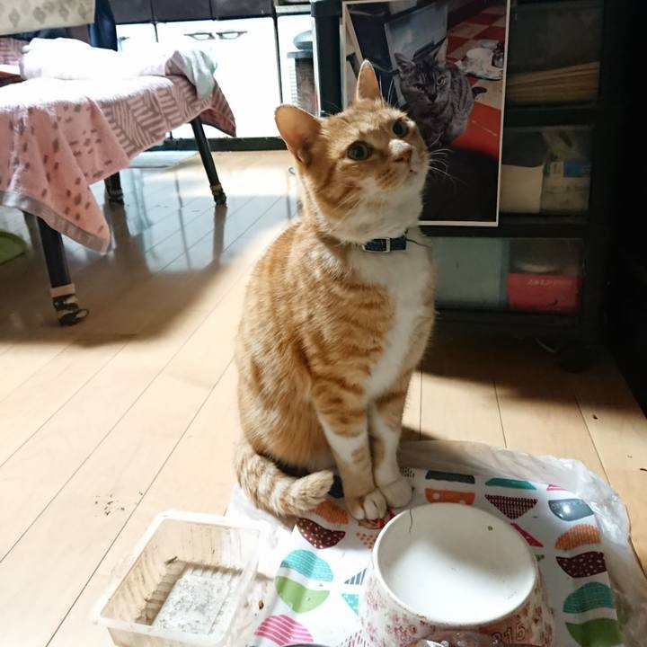 02d0fc1d 0e62 4b6a 8608 5c5589be951b 1606506311117