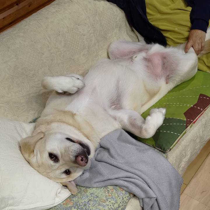 02d0fdeb f0e4 4c9d 9e8d 3d26e9e2d05d 1697364131671