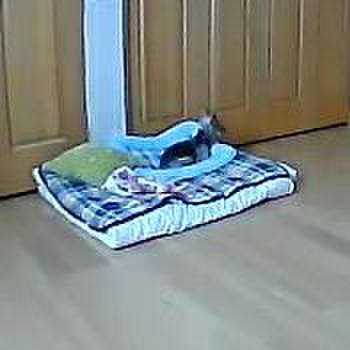 02d100ea dde4 4b1d ab0d 3dc07f6fed27 1562985723714