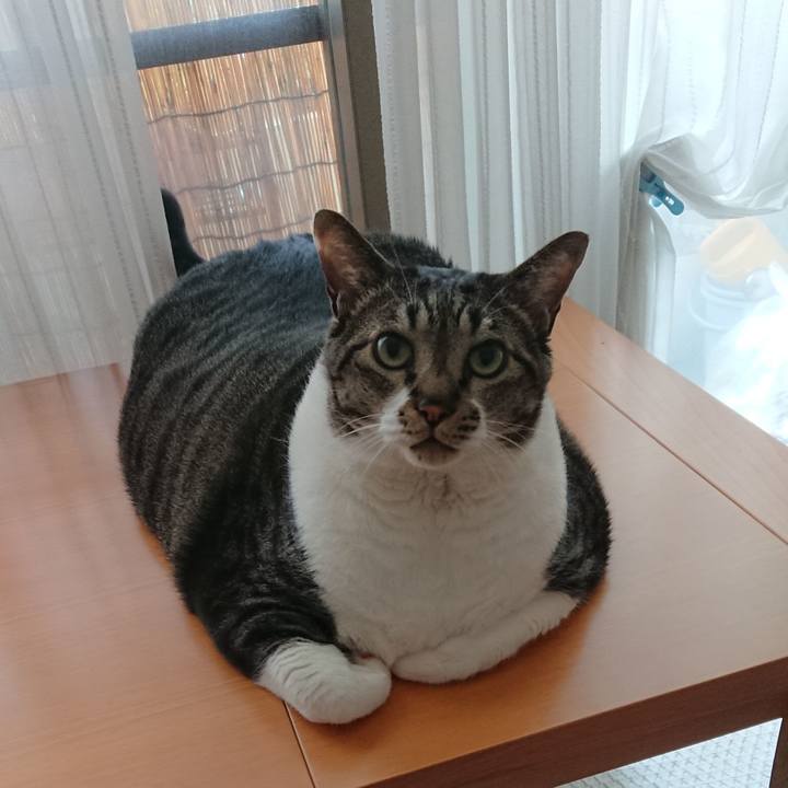 02d1020e 6239 4c04 beb0 471f3bafb7a3 1565303912138