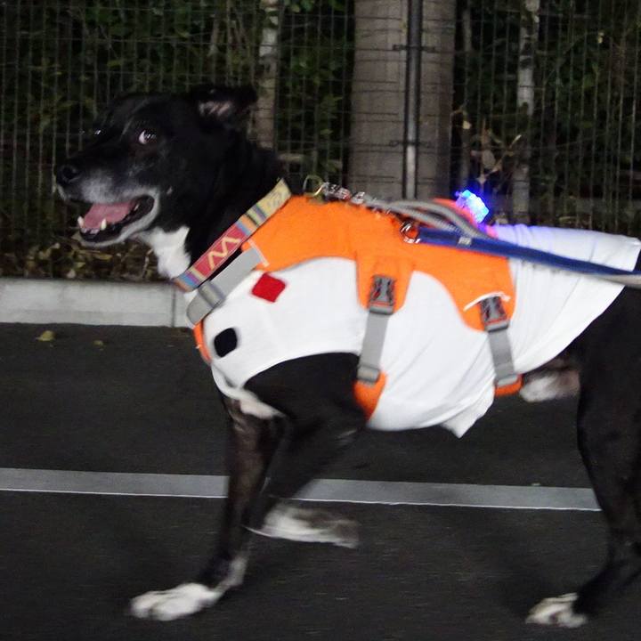 02d10a69 7de8 4019 814a f4381501c26e 1735728856028