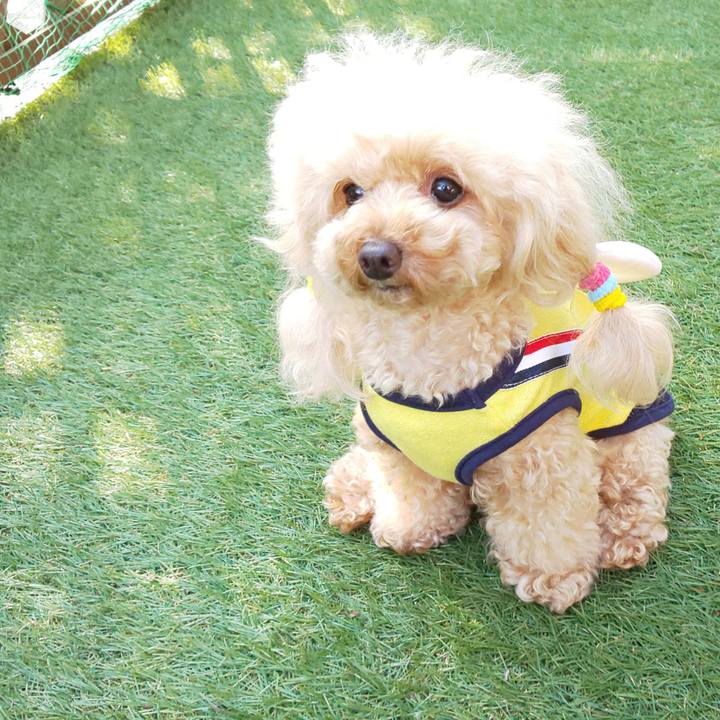 02d13563 b0ec 407a 859b 34a8025301fb 1572684998000