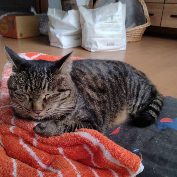 02d15c77 6671 48d4 9005 213eadf51c0c 1663638935283