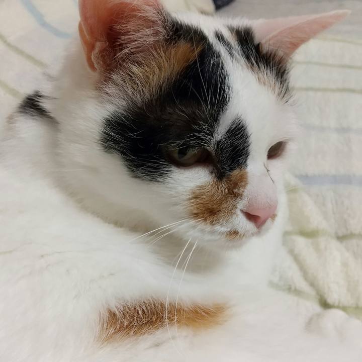 02d17db8 55e4 455a afde 600b4e5e26e4 1590763614993