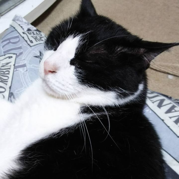 02d18d43 a693 483b 8892 2952a3a1f85f 1527989069808