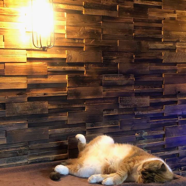 02d1e034 1a28 4b44 a2cc 006b5c984990 1622297151666