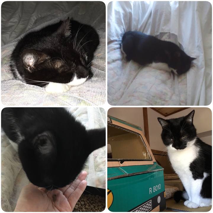 02d20645 4158 4241 b1d4 63f915f9a885 1526887320775