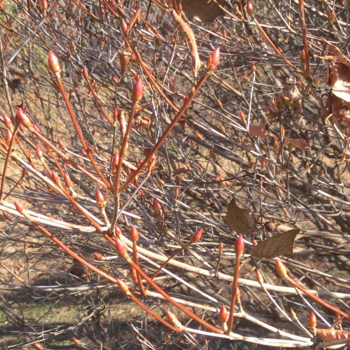 02d208a3 3d3b 4795 952e 57d1fe7e0b4d 1609731259199