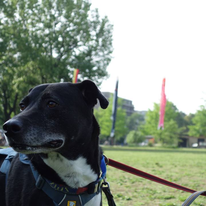 02d248ff 4c63 4c88 b06a a3d90d57c333 1714355351822