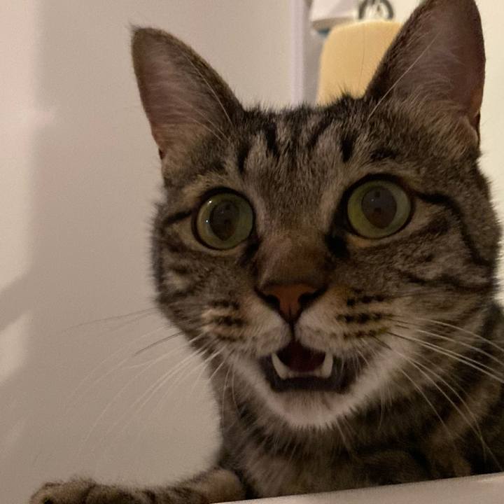 02d2726b 1e97 4f7b 9c1f 38b8af1e9e7b 1660397467530