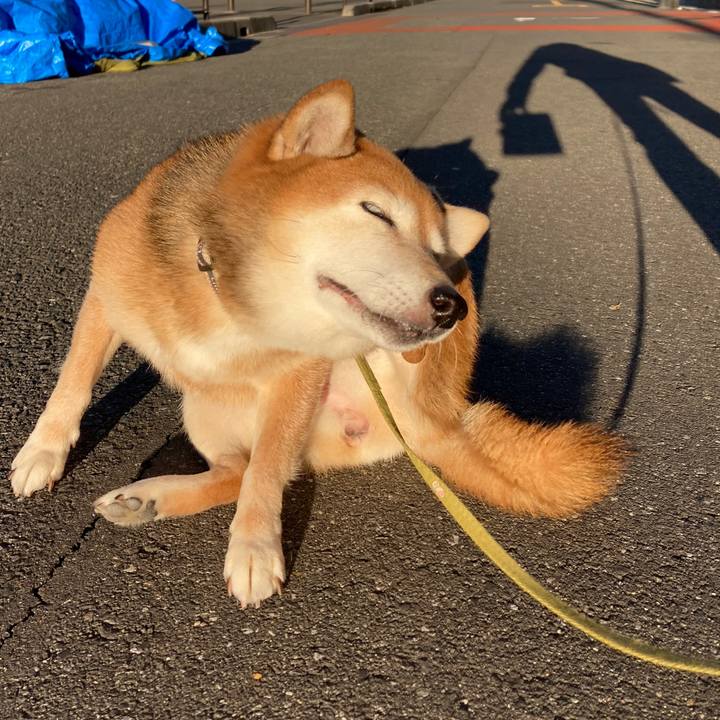 02d27545 bd62 4fdd ac50 854f7b928968 1702424100036