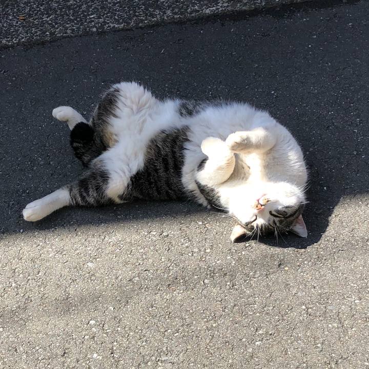 02d2a391 5b1d 4c5c ac9c adc5ac6fe131 1519876623258