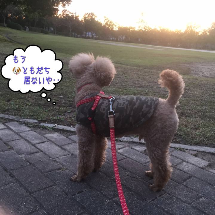 02d2ac8e 45df 4140 897e abf5c454ad85 1539939021177