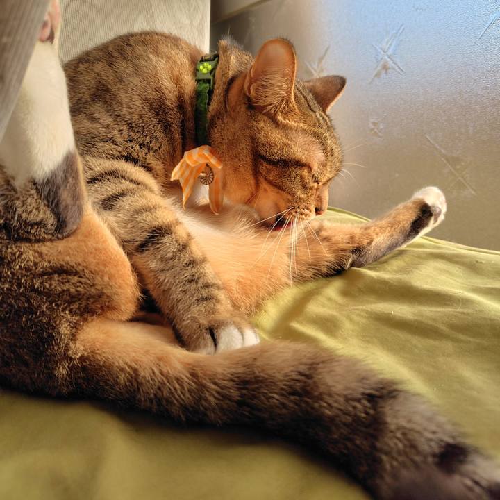 02d2b61a 2cc2 4e8d 8bb5 a9fa57a4d648 1764457588323