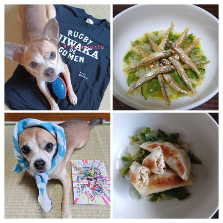 02d2dfd0 db69 4dd1 96ae c60f2b937315 1694330093211