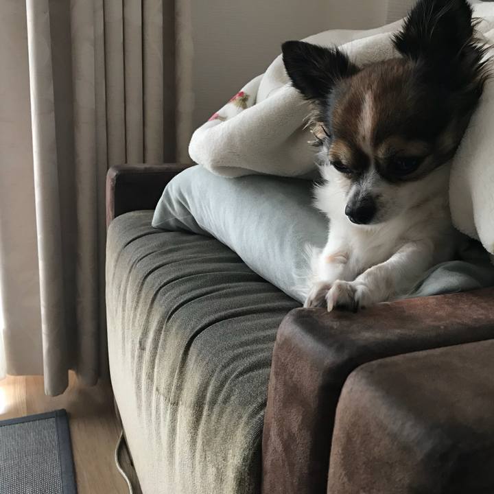 02d2fb23 e7db 4953 8cd8 24e564a379b3 1508206571045