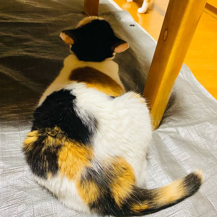 02d316d6 f832 401b bd20 18d7f4527bef 1689633631889