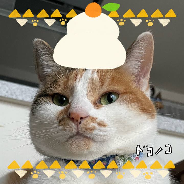 02d35449 0290 4c0b 92ce 8d07c8007ee7 1704175683223