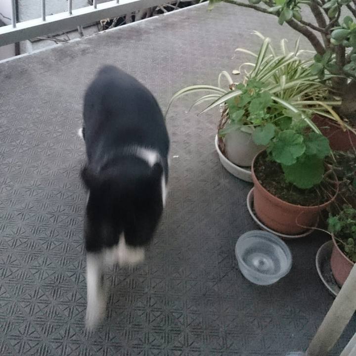 02d37a6b 7c1c 453c 91d0 bf2552b5f300 1514505727650