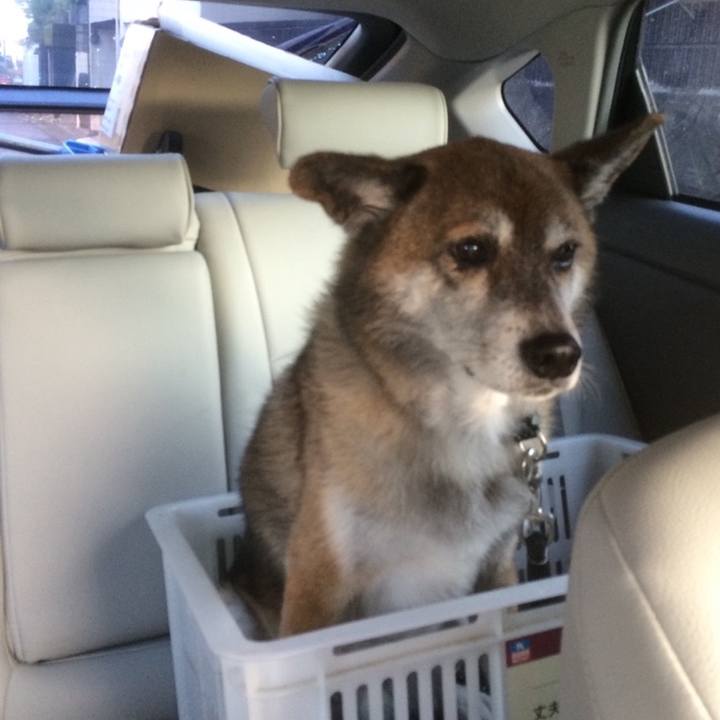 02d3914a 05c7 497c 923c 5488a82a26d1 1604420050003