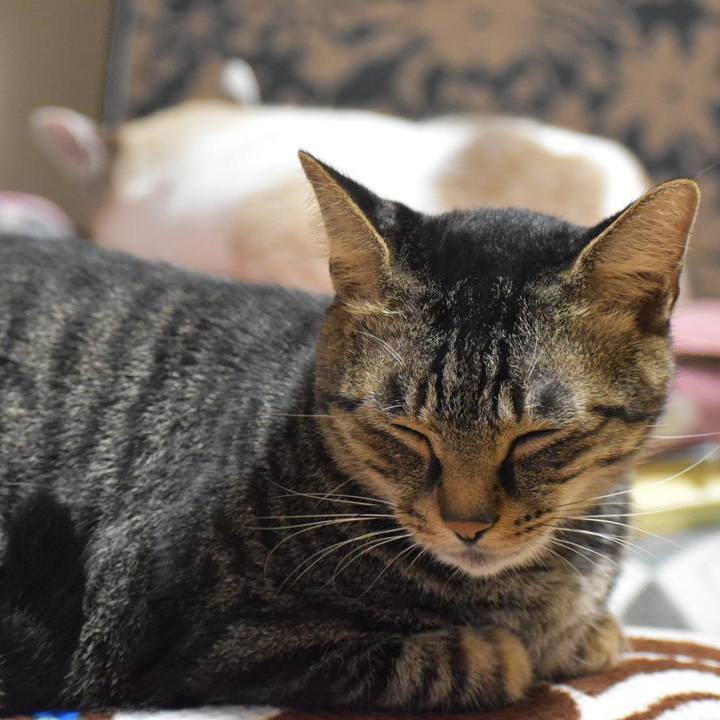 02d392aa 0299 4d70 b9d6 31633316b022 1569754749366