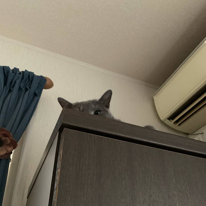 02d3cef5 01ab 46b3 9b24 6fc9579161be 1579062156222